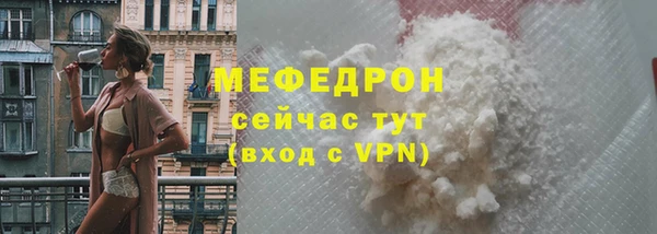 сатива Богданович
