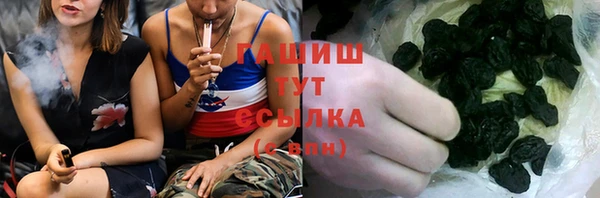сатива Богданович