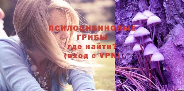 дмт Россошь