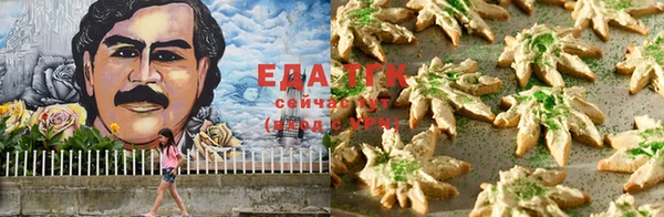 сатива Богданович