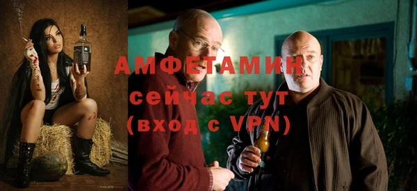 сатива Богданович