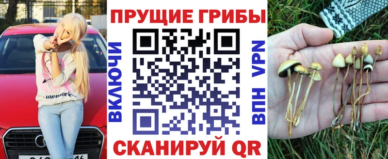 Галлюциногенные грибы Magic Shrooms Онега