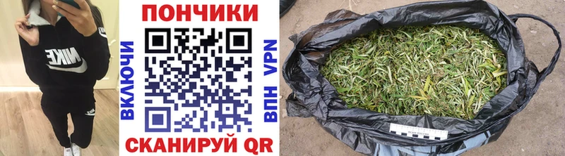 Бошки марихуана ГИДРОПОН  Онега 